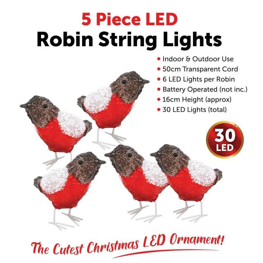 5pc LED Robin String Lights