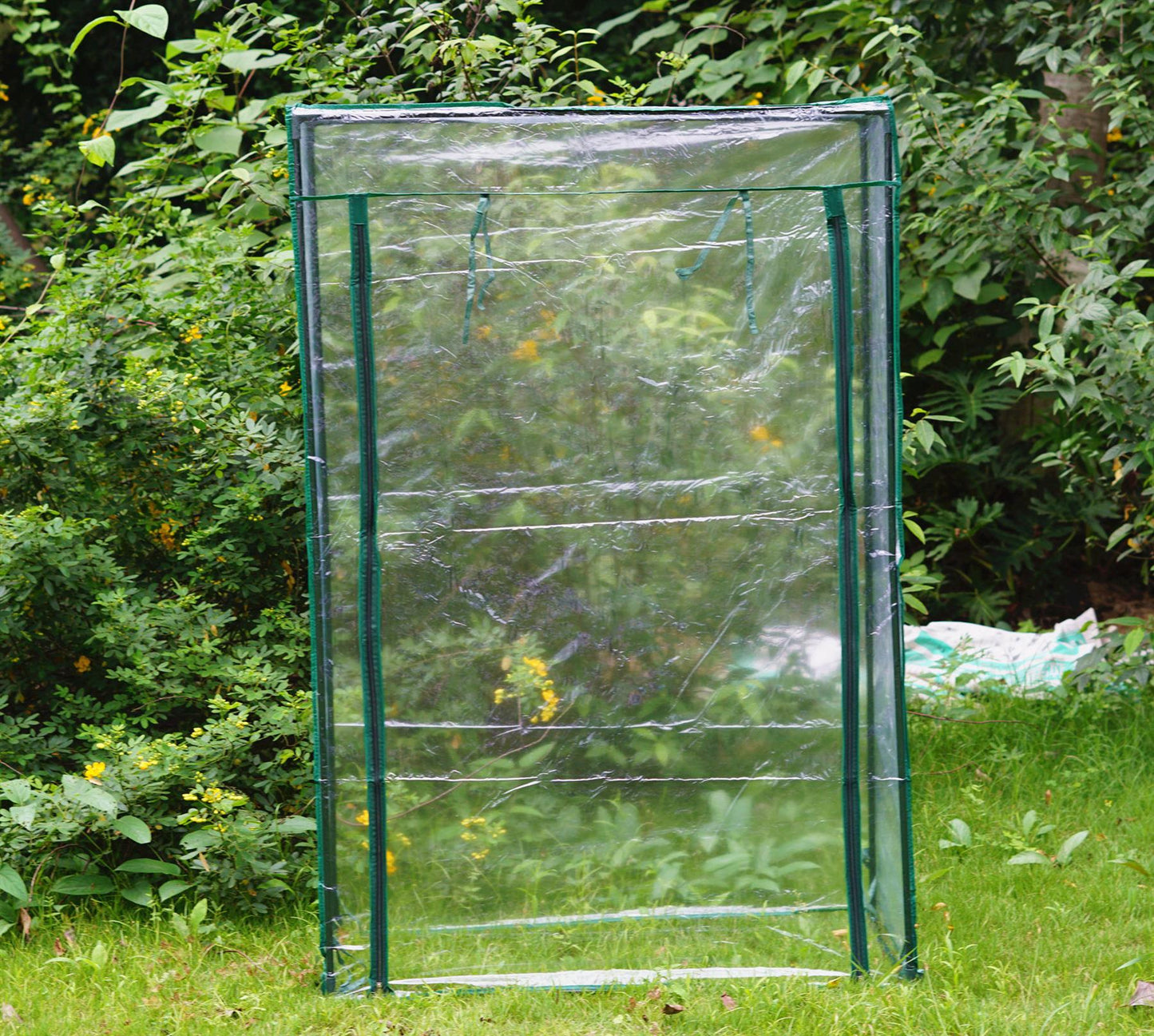 Tomato Greenhouse