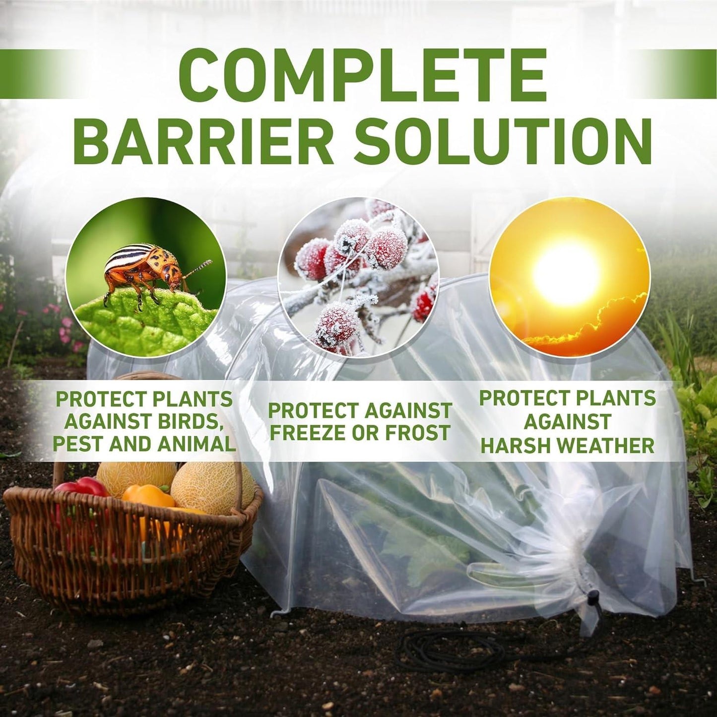 Poly Tunnel Cloche 1.5m x 45cm x 42cm