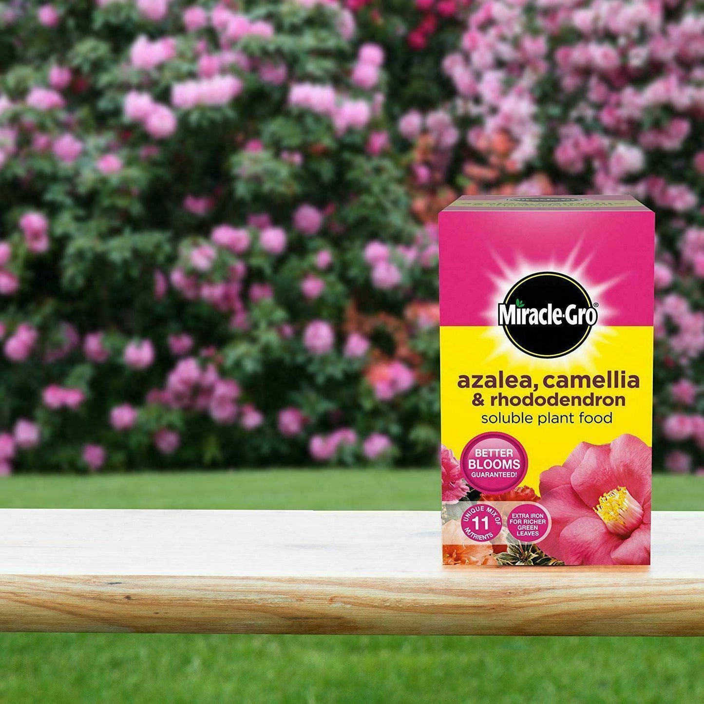 Miracle-Gro Azalea, Camellia & Rhododendron Soluble Plant Food