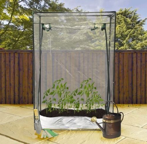 Tomato Greenhouse