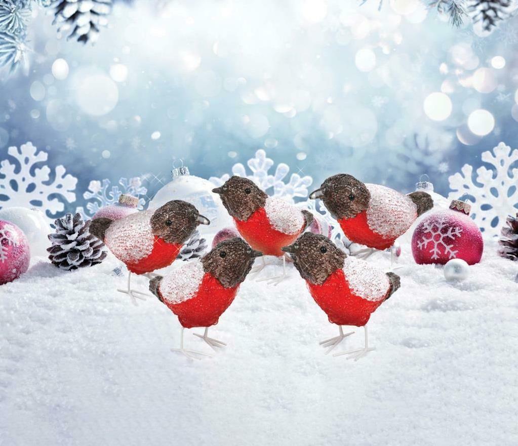 5pc LED Robin String Lights