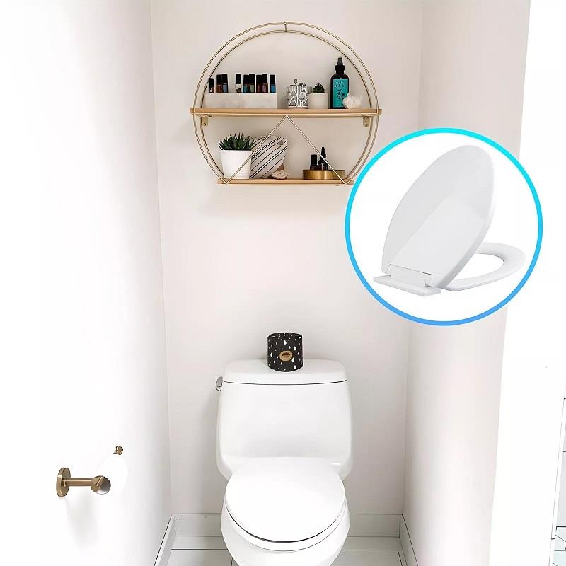 White Soft Close Toilet Seat