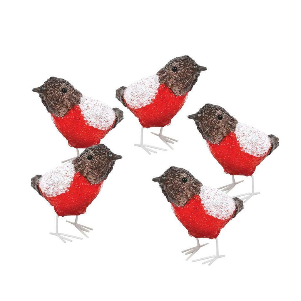 5pc LED Robin String Lights
