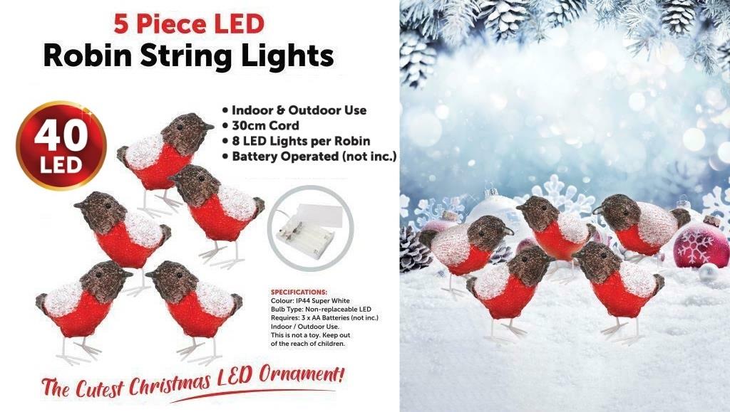 5pc LED Robin String Lights