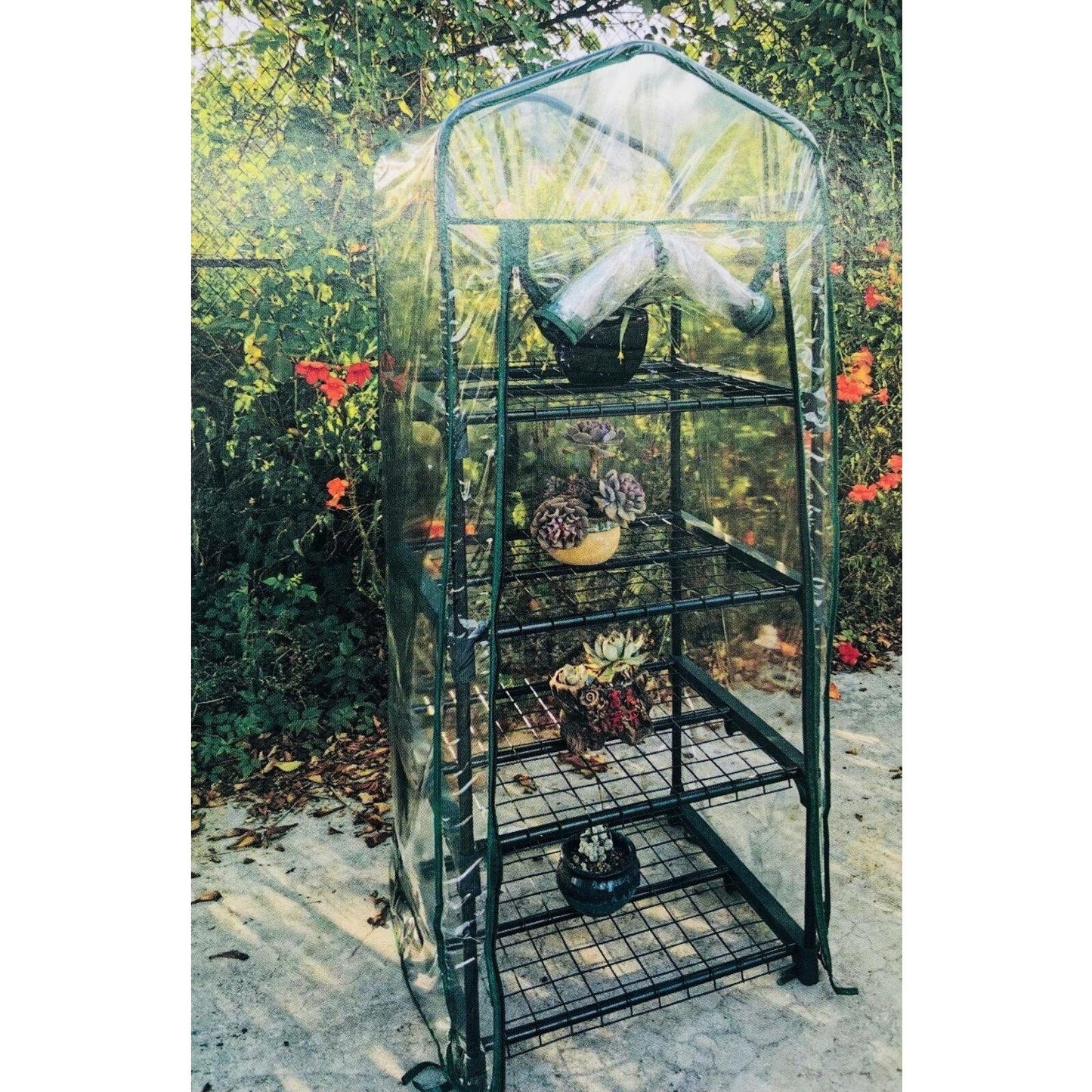 4 TIER COLD FRAME (MINI GREENHOUSE)