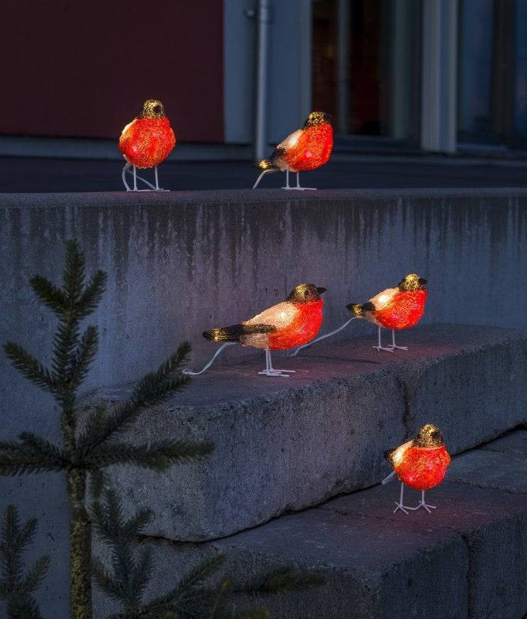 5pc LED Robin String Lights