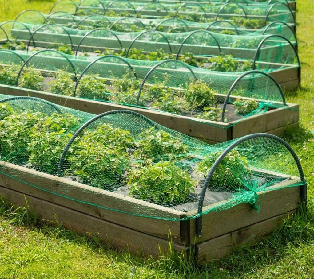 1pc Anti Bird Pond Net 2x4m