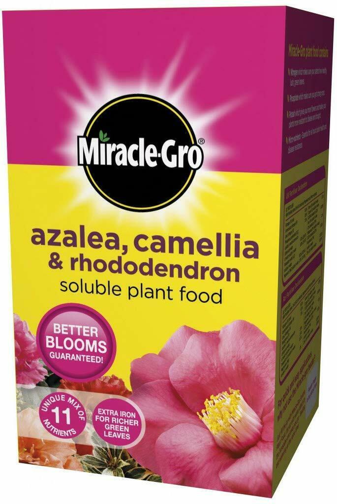 Miracle-Gro Azalea, Camellia & Rhododendron Soluble Plant Food