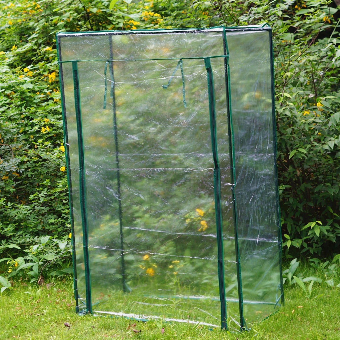 Tomato Greenhouse