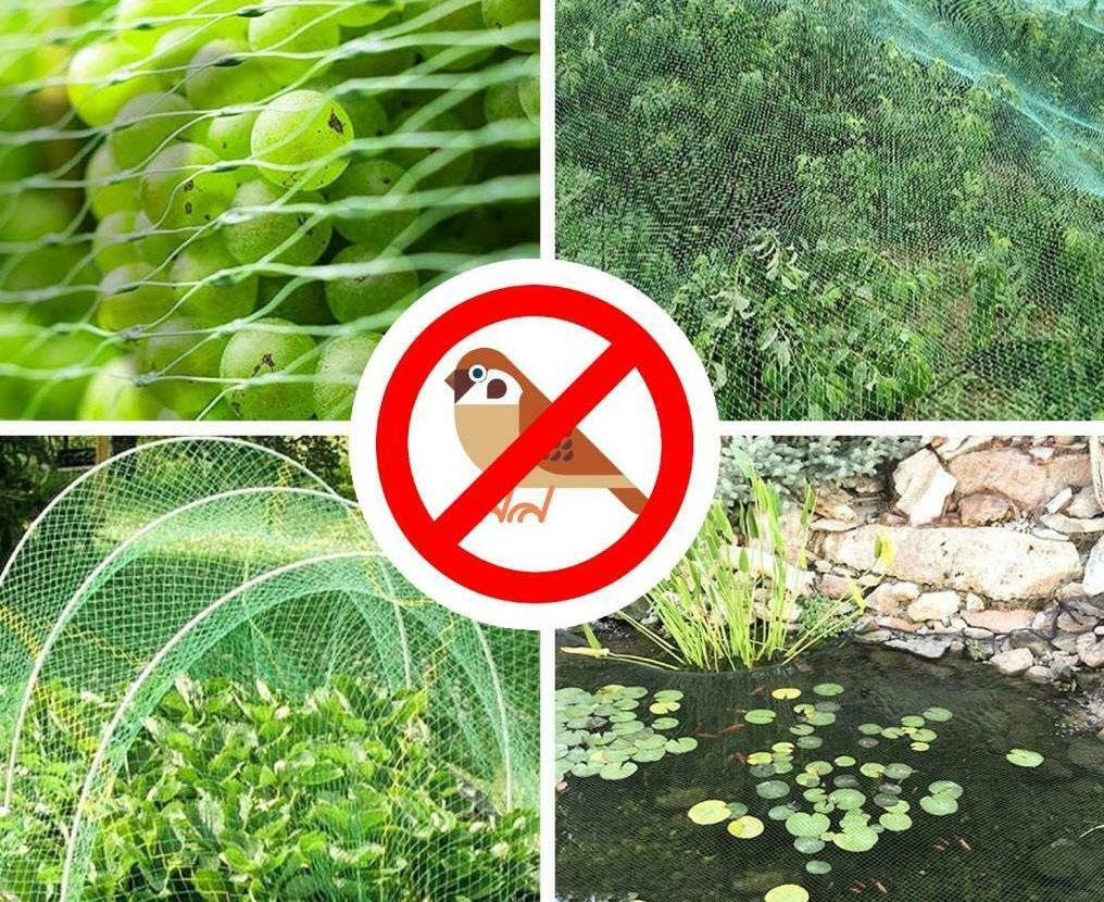 1pc Anti Bird Pond Net 2x4m
