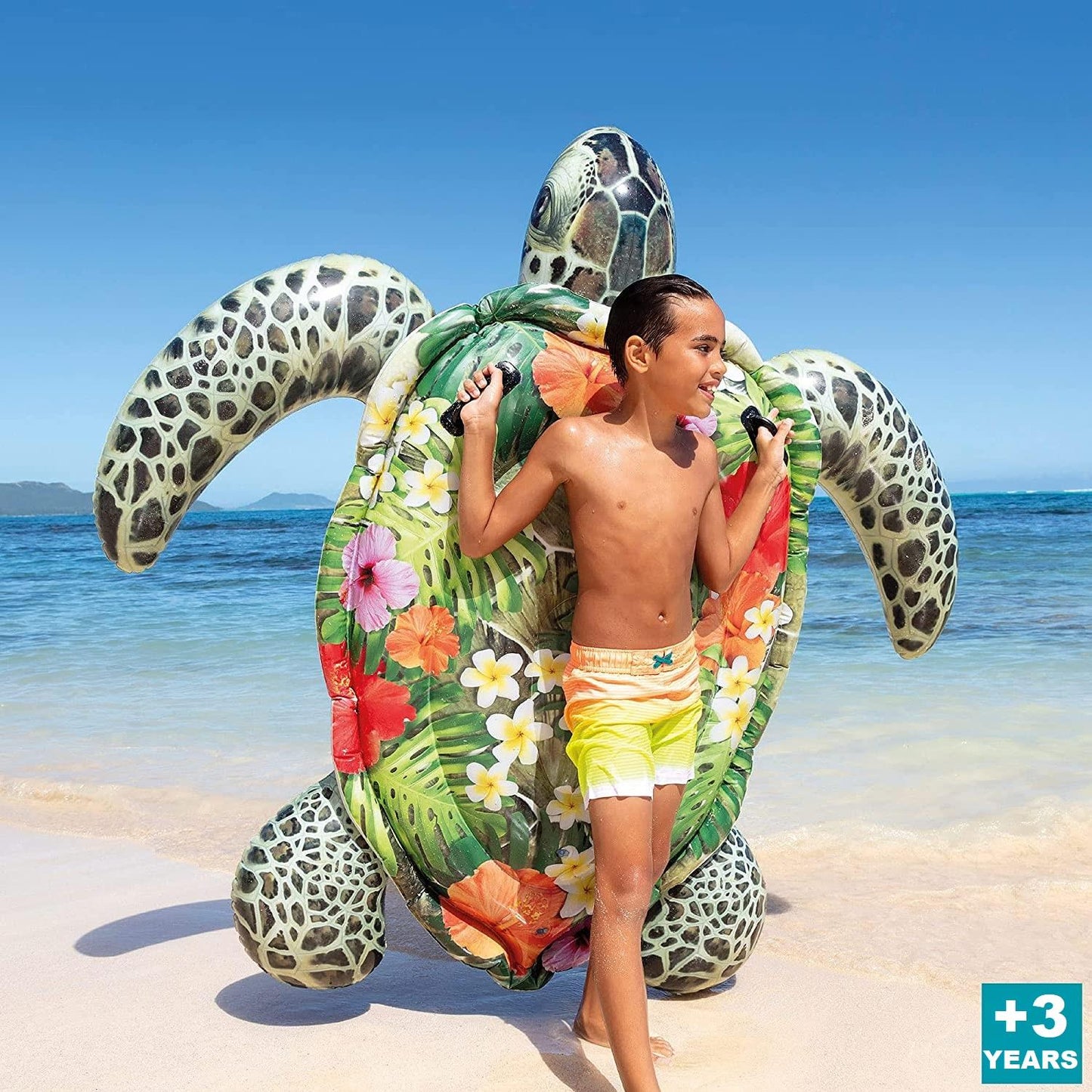 Realistic Sea Turtle Ride On 75" x 67"