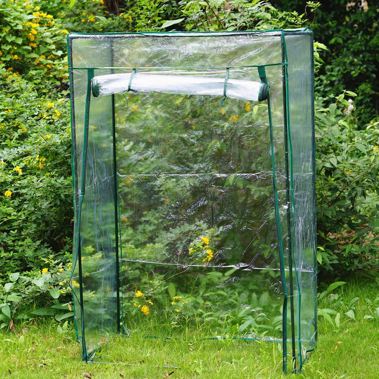 Tomato Greenhouse