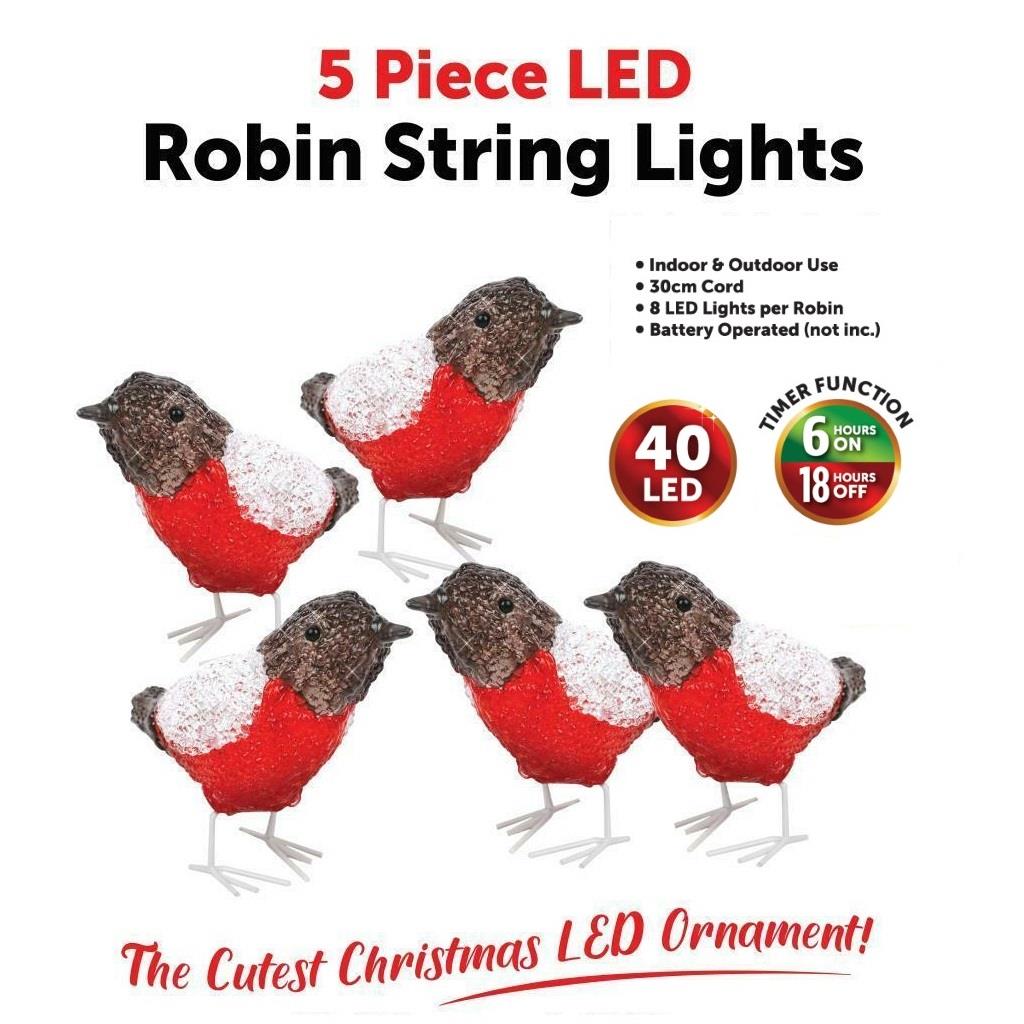 5pc LED Robin String Lights