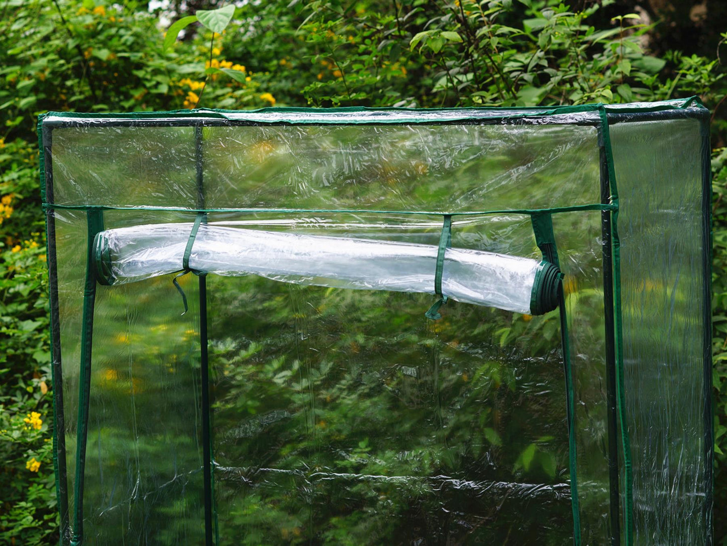 Tomato Greenhouse