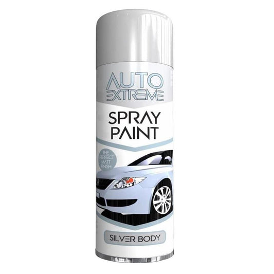 Silver Matt Spray Paint 250ml