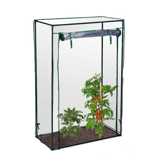 Tomato Greenhouse