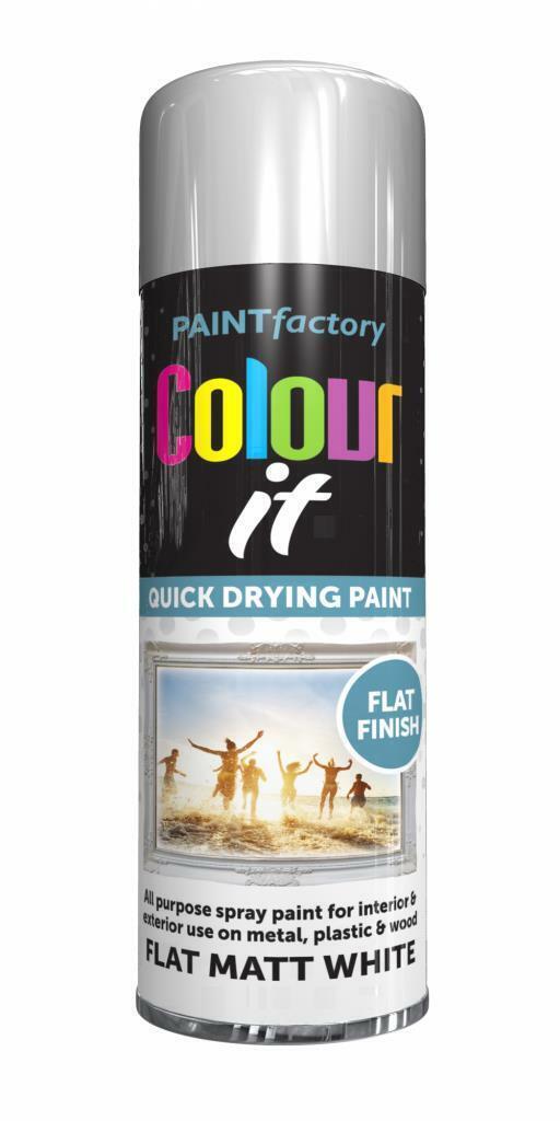COLOUR IT - FLAT MATT WHITE 250M