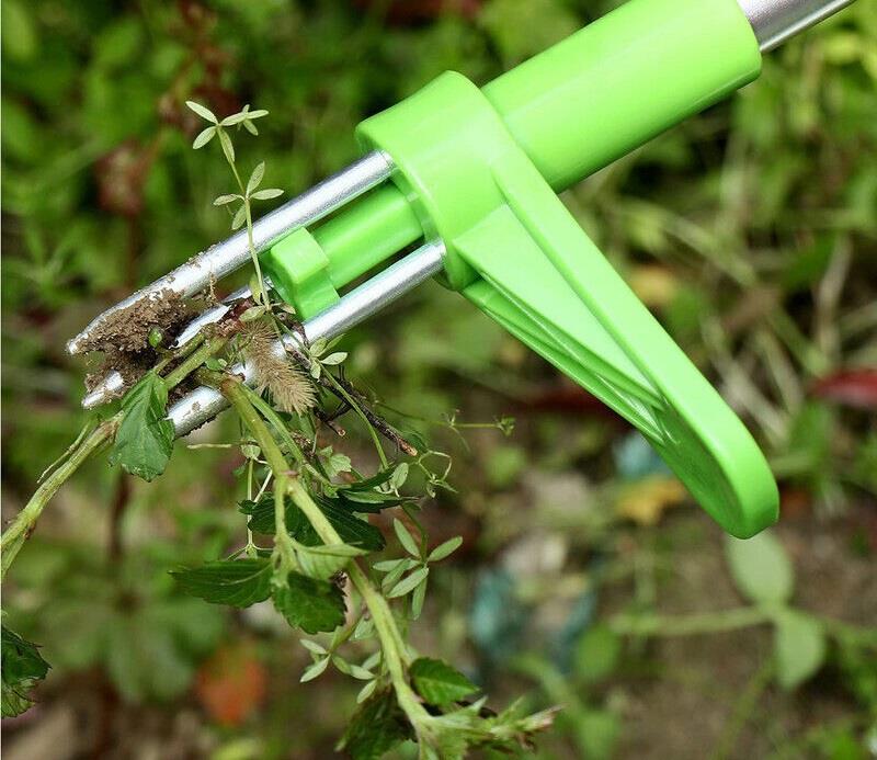 Long Handled Lawn Weed Puller