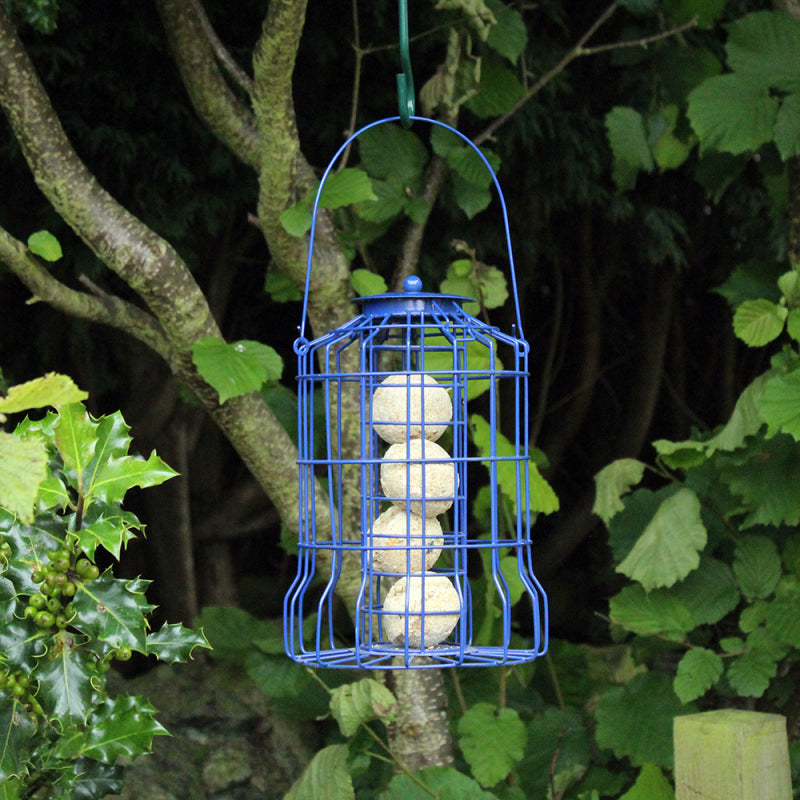 Suet Fat Ball Feeder with Squirrel Guard