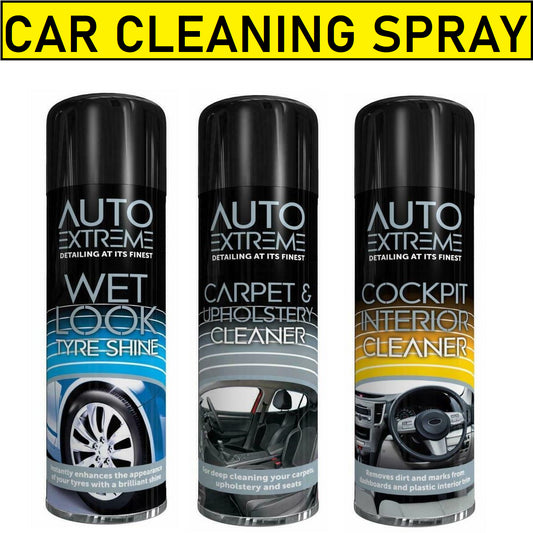 Car Cleaning Kit